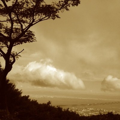 北山精神文化研究所(北山修)の公式Xです。セミナーなどの告知用です。こちらのDM、コメントなどは原則返信いたしません。ウェビナーのコメント紹介などはいままでどおりFacebookで実施します。