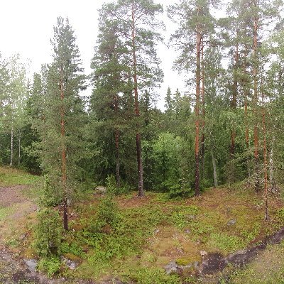 SS91579998's profile picture. 