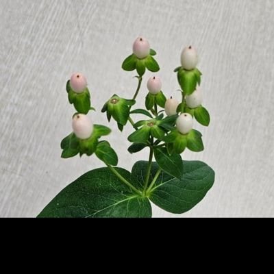 𝕏는 틈틈이. 주식, 테슬라, 고양이 팔로우 중. 기사는 링크 인용, 밥 사진은 직접 찍음. 그럴 리 없겠지만 혹시나 사진을 사용하실 때는 어디 쓰는지 알려는 주세요.
