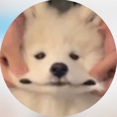 hotdiggy6's profile picture. 🥟