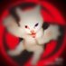今天想喝养乐多 (@lnhuiyn185564) Twitter profile photo 今天想喝养乐多 (@lnhuiyn185564) Twitter profile photo