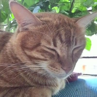 hide_r12_btc's profile picture. Streamer #s31 Youtuber CryptoAnalitic