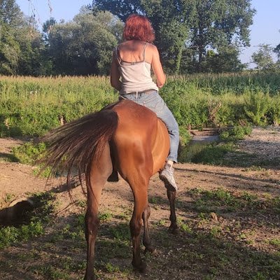 @AnnaZuliani7262