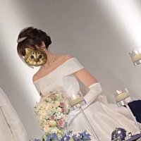 suzu (@lulu_chocolat) 's Twitter Profile