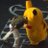 won_rii07's profile image
