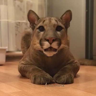 Zivonny136323's profile picture. Poprzednie konto 🙄🛸Legenda: dawno dawno temu było trzech braci: CZECH, LECH i RUS. I niech tak będzie z powrotem!