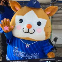 yu (@bayym21) 's Twitter Profile