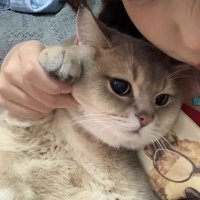 Rinaa🧸²⁶ (@mochieepy) 's Twitter Profile