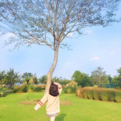 60phbpyjn's profile picture. Reddio