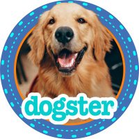 Dogster (@dogster) 's Twitter Profile