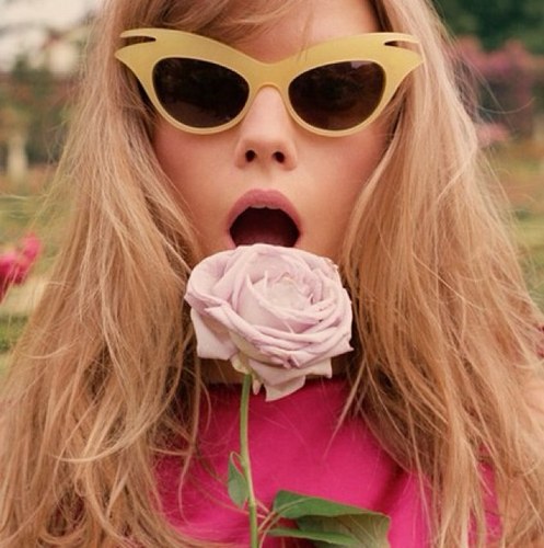 MissRose_1865's profile picture. Daddy's little girl. There is no such thing as unsweet tea, and of course there is no man sweeter than a Kappa Alpha Order gentleman. KA Rose ❤