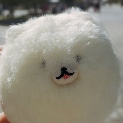 いち🐶すけさんのプロフィール画像