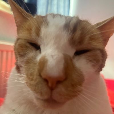 Junoさんのプロフィール画像