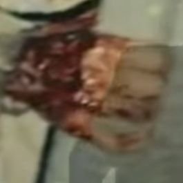 herakles5000's profile picture. 