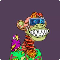 Keen (@nfticket) 's Twitter Profile