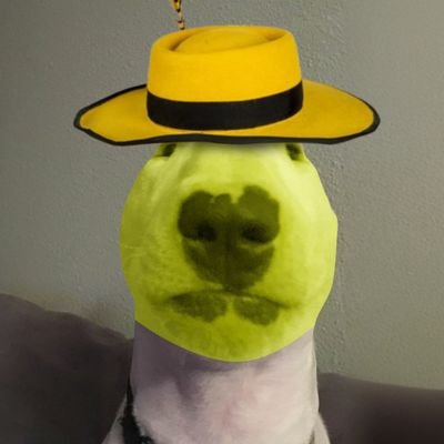 nutbeok's profile picture. collecting JPEGs 🥶 Trading memes 😜