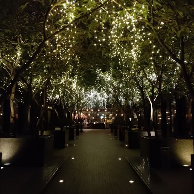 plantium73942's profile picture. 輸入中...