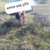 Emre&SILA (@emresila84) Twitter profile photo Emre&SILA (@emresila84) Twitter profile photo