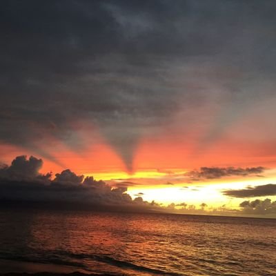 Edgar224569's profile picture. 