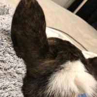 さかもと🐶 (@way62yv3h7m24dm) 's Twitter Profile