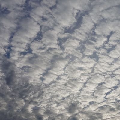 Sneek97's profile picture. 今日よりいい明日を創る
それが生きた証になる