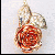 Midwest boy