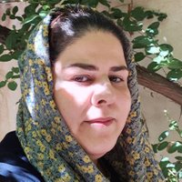 رشتی_پیچا (@rashti_picha) 's Twitter Profile