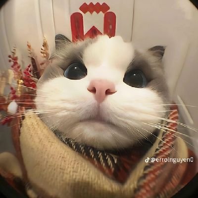 EmHo89382's profile picture. #meme sol
kiến thức là 9 
May mắn là 10