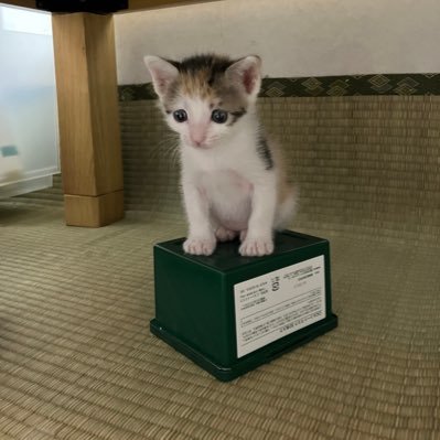 sagalunlove's profile picture. 副流煙でゆっくり殺される
