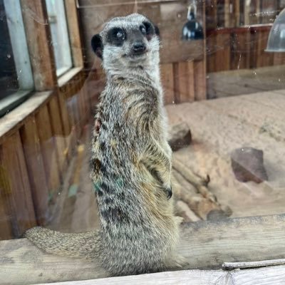 NeedzikJr's profile picture. FREE AGENT
3.1k elo faceit
KOCHAMY ZYCIE