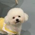 Alina (@lina555666) Twitter profile photo Alina (@lina555666) Twitter profile photo