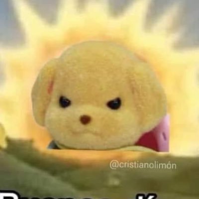 allyogz's profile picture. bloom with grace ✨