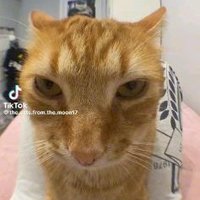 ๐ฌ ๐ด๐๐๐ (@edd_tido) 's Twitter Profile
