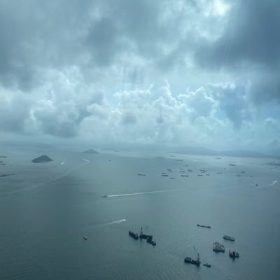 z25156's profile picture. 美股收藏爱好者