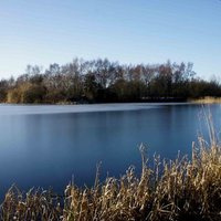 Bawburgh Lakes LTD(@BawburghLakes) 's Twitter Profileg