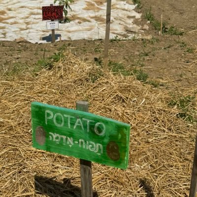 el_rosenfeld's profile picture. 