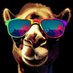 el dromedario (@otrodromedario) Twitter profile photo el dromedario (@otrodromedario) Twitter profile photo
