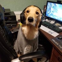 sajir (@sajircs) 's Twitter Profile