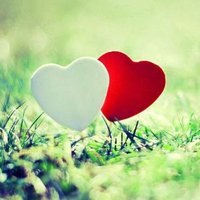 Kumluca cift lere 3 ncü (@krbl91140) Twitter profile photo