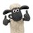 hasi