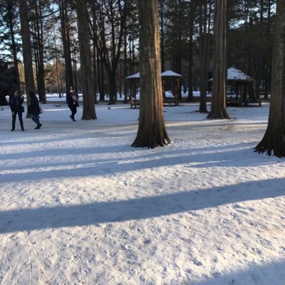 armsex03's profile picture. 