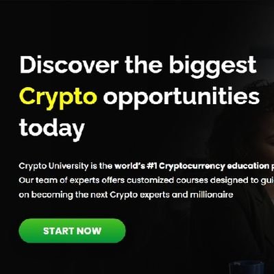 b_supportteam's profile picture. 