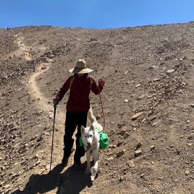 lovedrugslaw's profile picture. El gringo no té quire | he/they | chaotic good | pyromancer | drug policy | esq. | all tweets are jokes