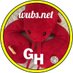 GH WUBSNET (@wubsnet) Twitter profile photo GH WUBSNET (@wubsnet) Twitter profile photo