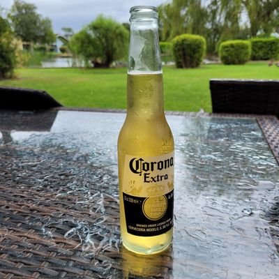 mccannst67's profile picture. Celtic, trade unionism and socialism.