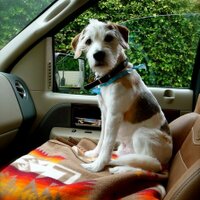 Coleman Hawkins (@colemanthedog) 's Twitter Profile