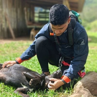 _mendesxxx's profile picture. @vascodagama