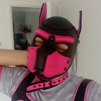 🇳🇱Pink Service Pup🔞 (@pinkpuppyad) 's Twitter Profile Photo 🇳🇱Pink Service Pup🔞 (@pinkpuppyad) 's Twitter Profile Photo