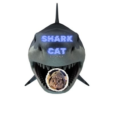 HANGISARKI's profile picture. İntrosunu duyduğunuz şarkının hangi şarkı olduğunu bulabilecek misiniz? Müzik kulağınızın olduğunu düşünüyorsanız bizi takip edin.🎼