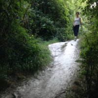 Jennifer Ford (@jford00lala) 's Twitter Profile